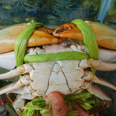 CUA THỊT Loại 1