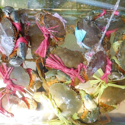 CUA THỊT Loại 1