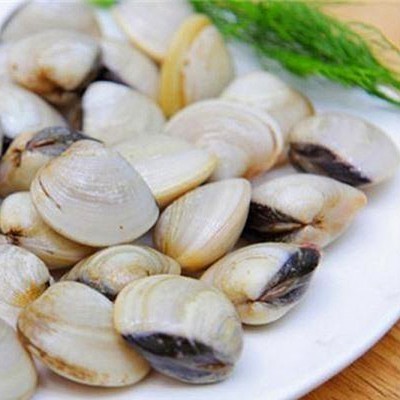 NGHÊU (Hàng sống)