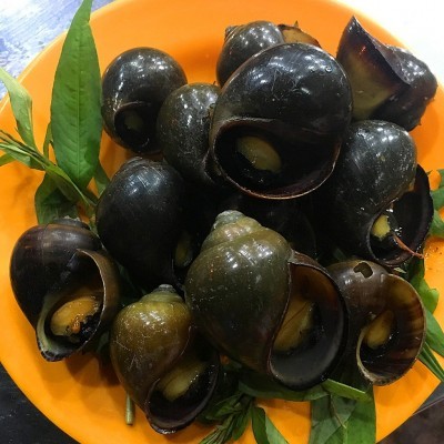 ỐC BƯƠU (Hàng sống)