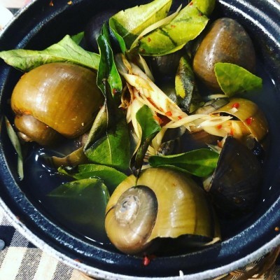 ỐC BƯƠU (Hàng sống)